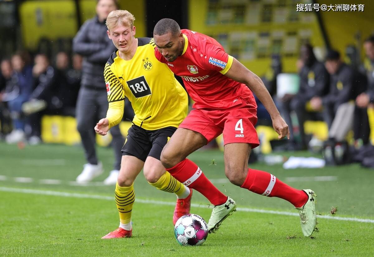 乐动官网- 山东泰山队新外援浮出水面 