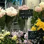 北京男篮小外援纳托尔图片 北京男篮小外援纳托尔图片